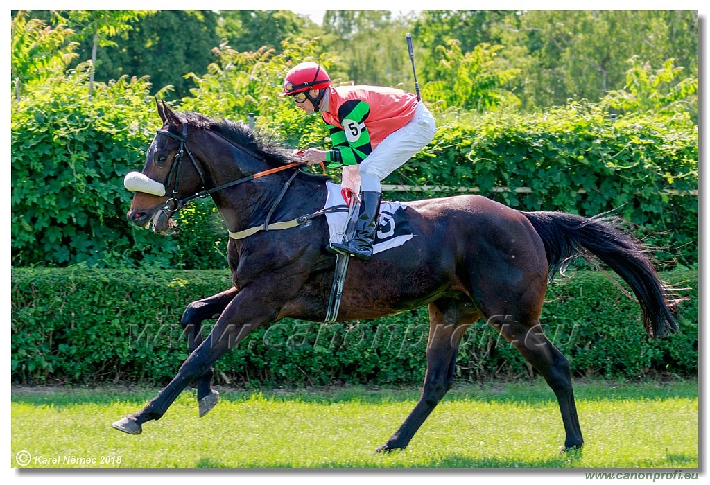 Bratislava - 13. mj 2018 