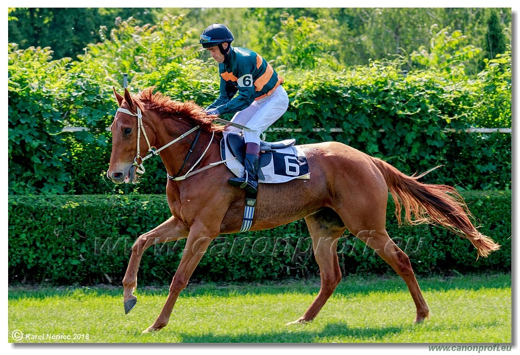 Bratislava - 13. mj 2018 