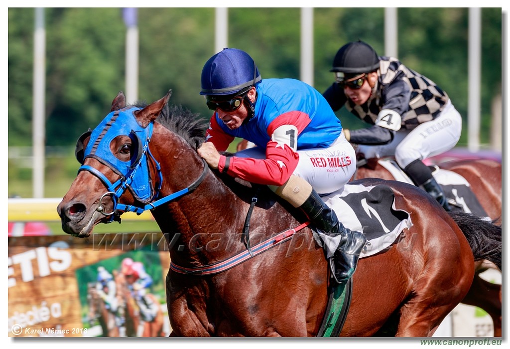 Bratislava - 13. mj 2018 