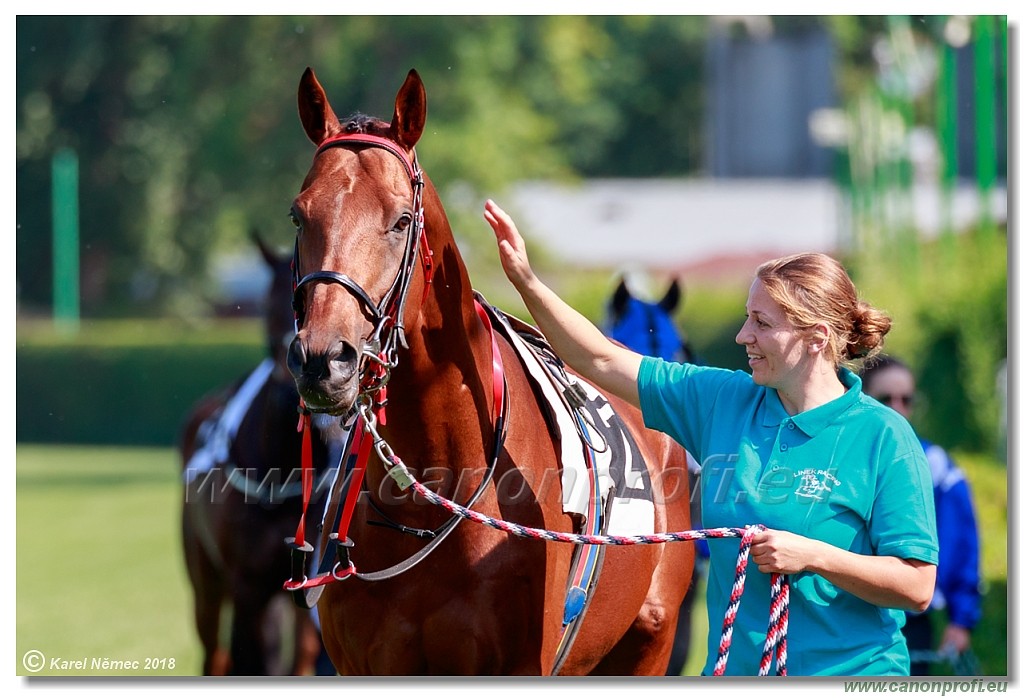 Bratislava - 13. mj 2018 