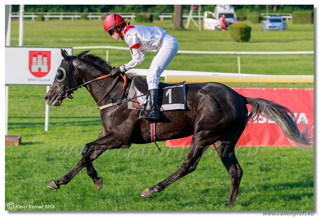 Bratislava - 13. mj 2018 