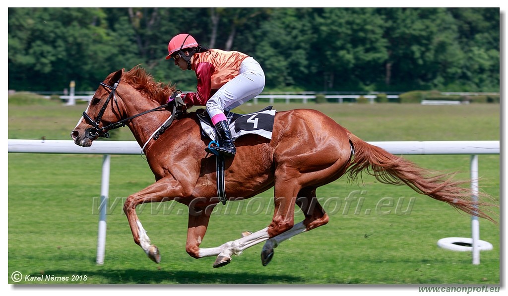 Bratislava - 20. mj 2018 