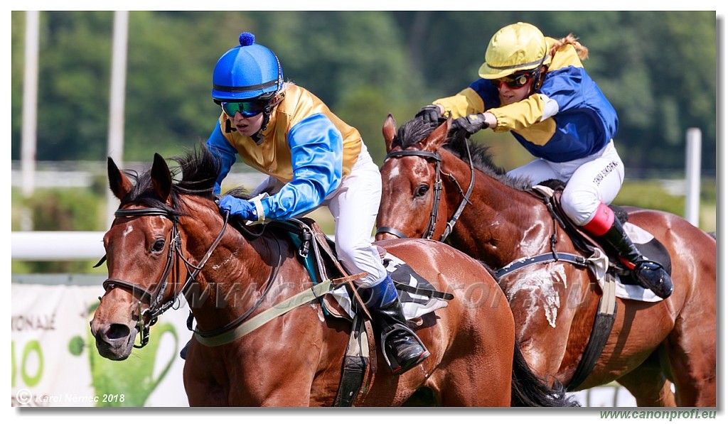 Bratislava - 20. mj 2018 