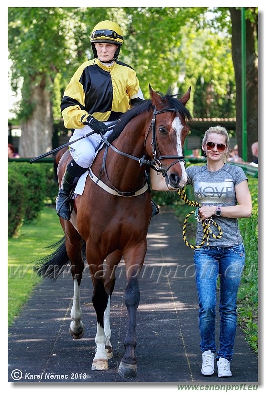 Bratislava - 20. mj 2018 