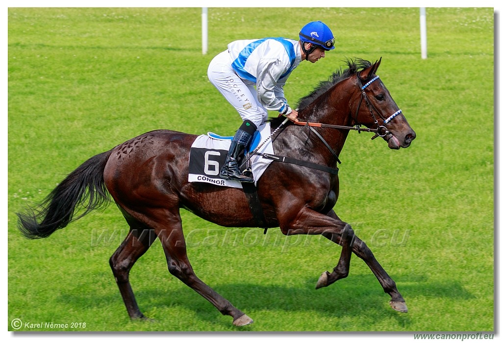 Bratislava - 03. jn 2018 