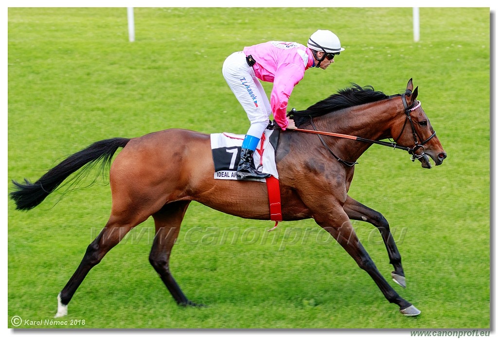 Bratislava - 03. jn 2018 