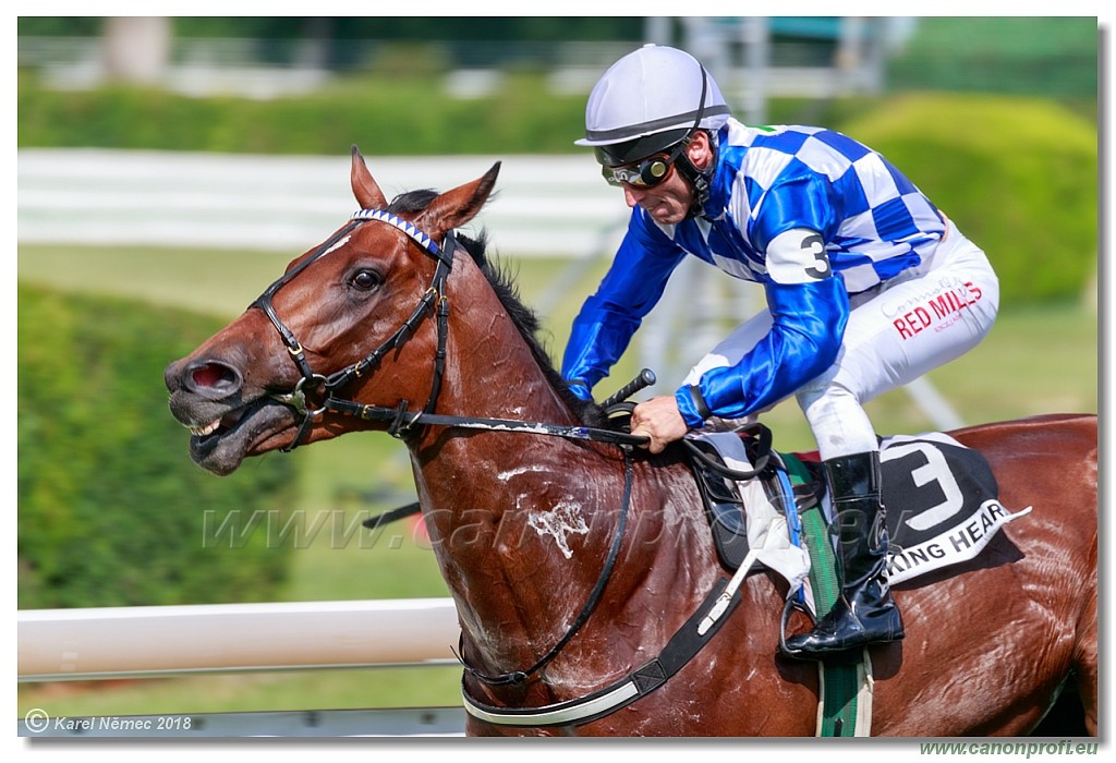 Bratislava - 03. jn 2018 