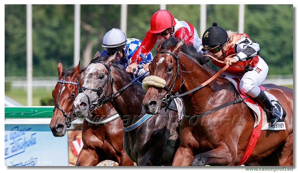 Bratislava - 03. jn 2018 