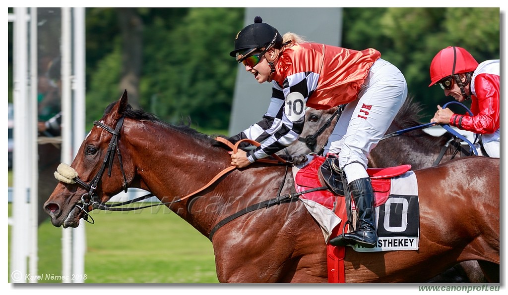 Bratislava - 03. jn 2018 