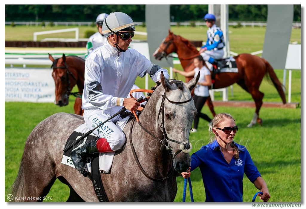 Bratislava - 03. jn 2018 