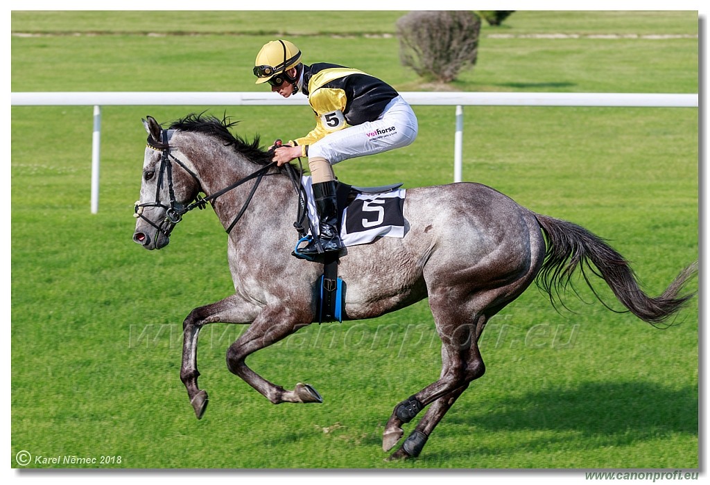 Bratislava - 03. jn 2018 