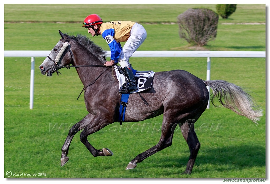 Bratislava - 03. jn 2018 