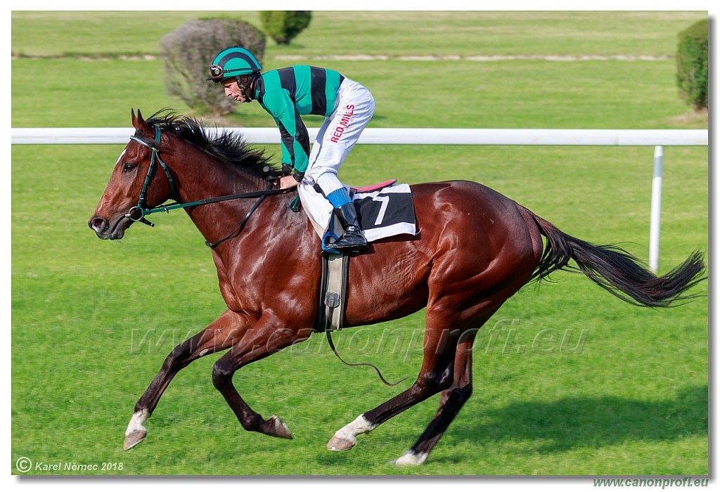 Bratislava - 03. jn 2018 