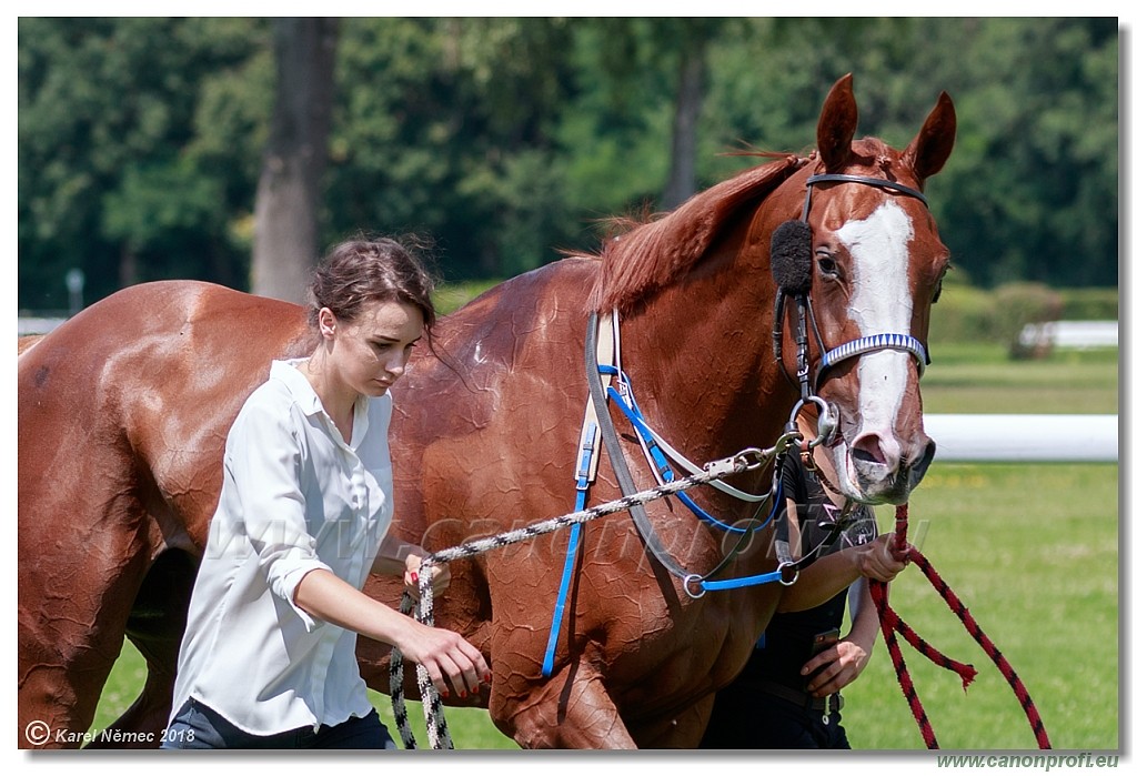 Bratislava - 15. jl 2018 
