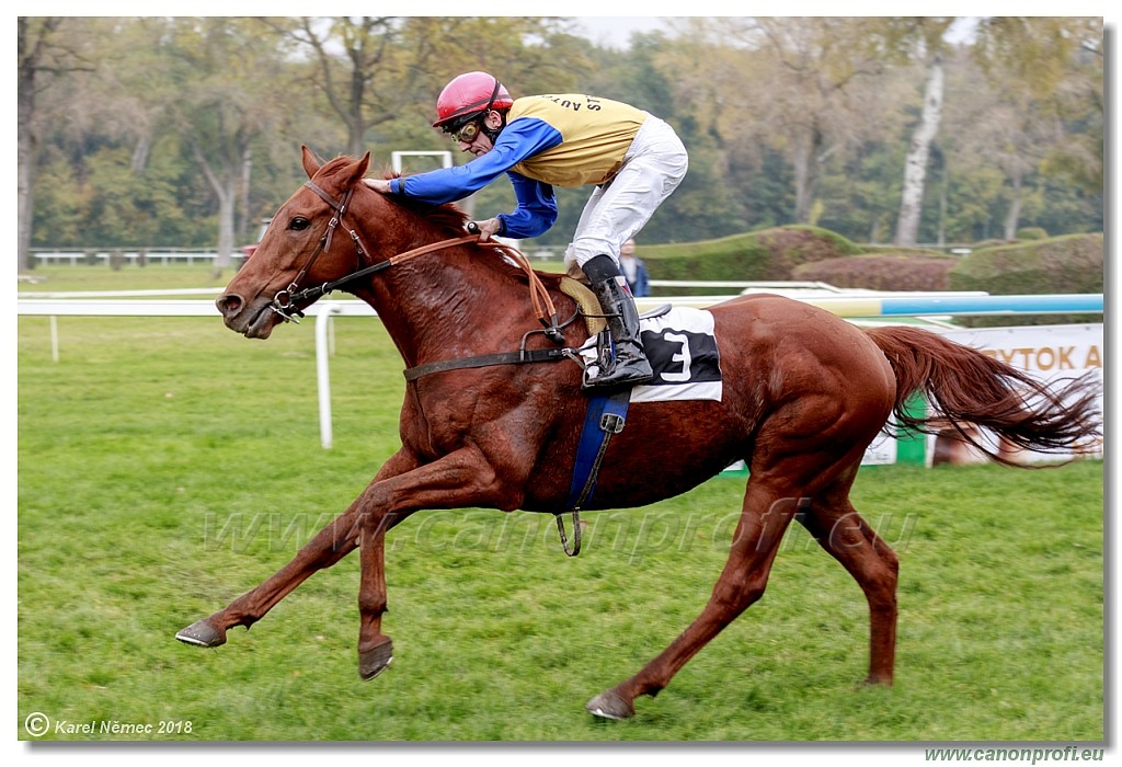 Bratislava - 28. oktber 2018 