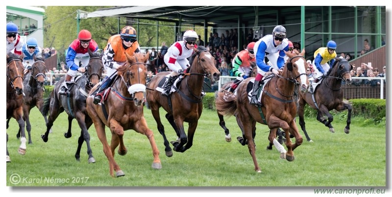 Bratislava - 09. apr�la 2017 