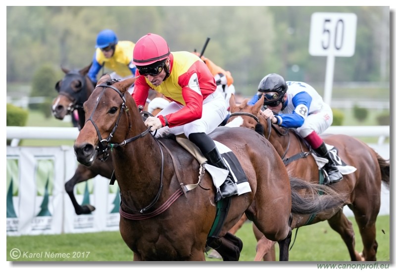 Bratislava - 09. apr�la 2017 