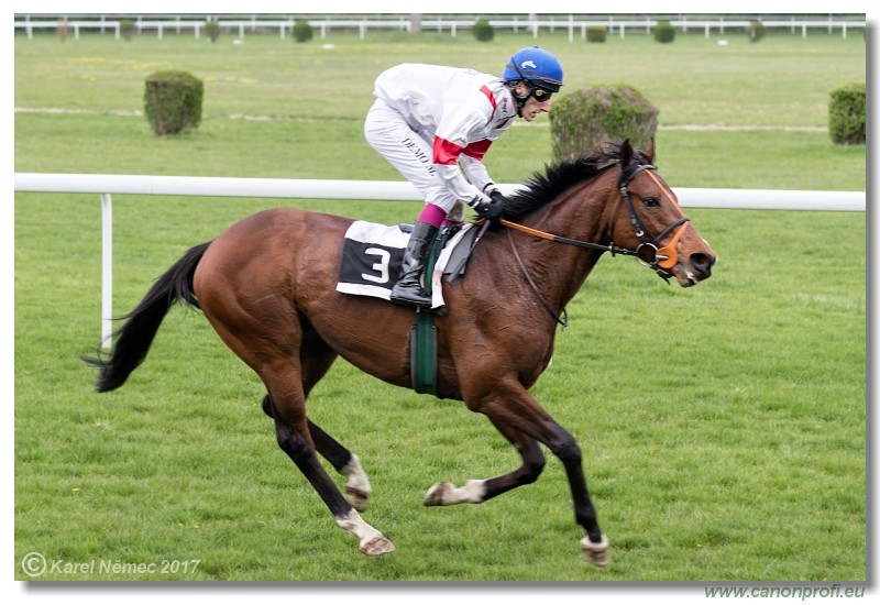 Bratislava - 09. apr�la 2017 