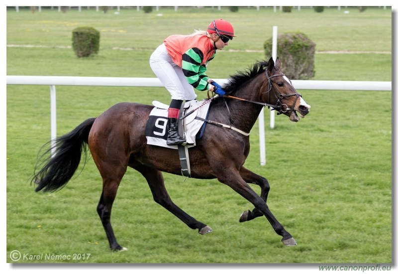 Bratislava - 09. apr�la 2017 