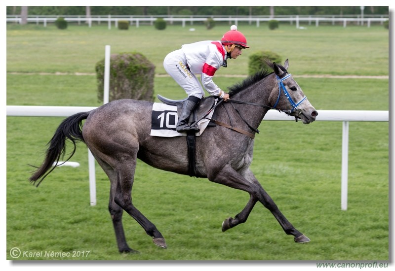 Bratislava - 09. apr�la 2017 