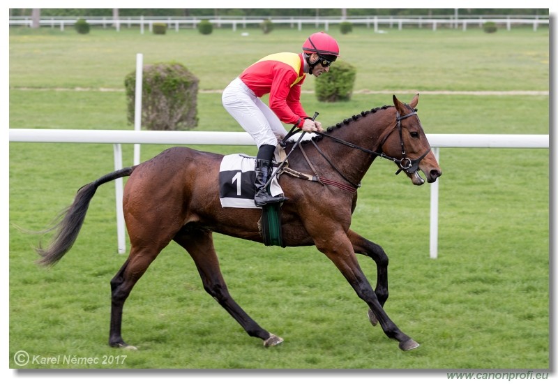 Bratislava - 09. apr�la 2017 