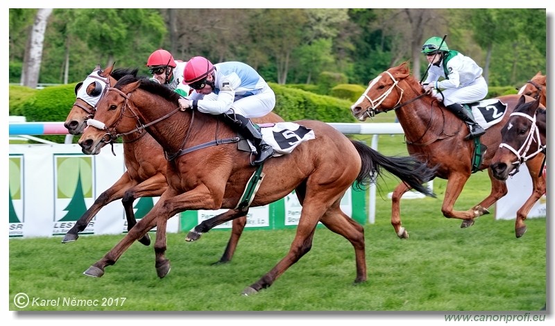 Bratislava - 16. apr�la 2017 