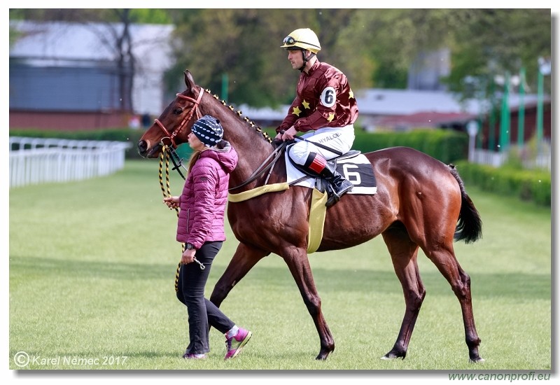 Bratislava - 16. apr�la 2017 