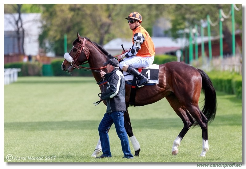 Bratislava - 16. apr�la 2017 