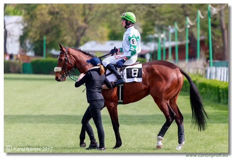 Bratislava - 16. apr�la 2017 