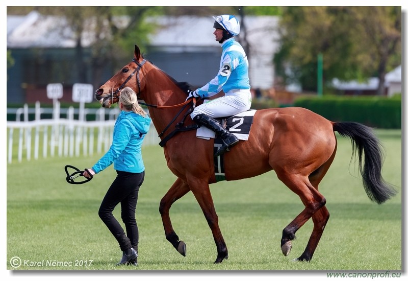 Bratislava - 16. apr�la 2017 