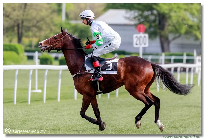 Bratislava - 16. apr�la 2017 