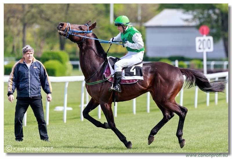 Bratislava - 16. apr�la 2017 