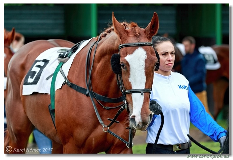 Bratislava - 23. apr�la 2017 