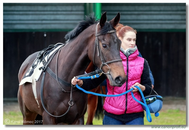 Bratislava - 23. apr�la 2017 