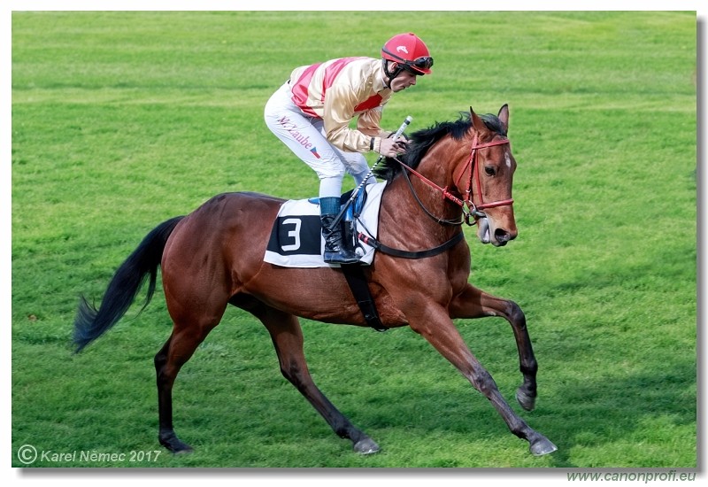 Bratislava - 23. apr�la 2017 