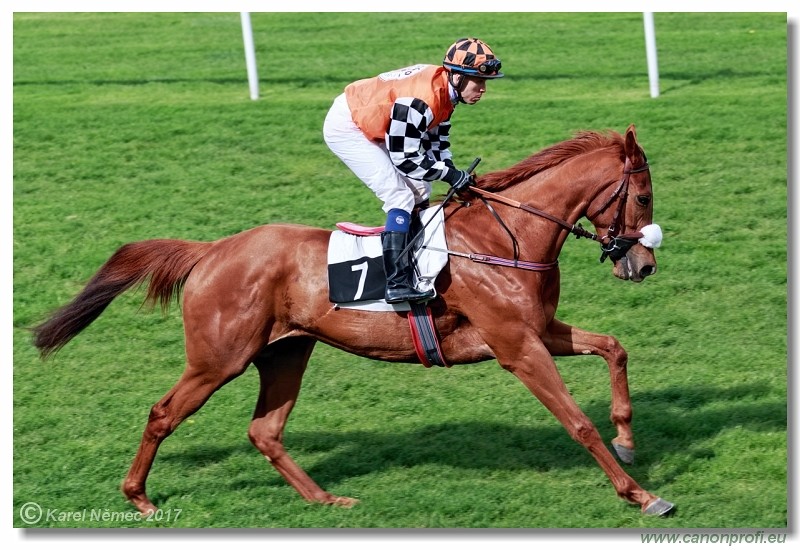 Bratislava - 23. apr�la 2017 