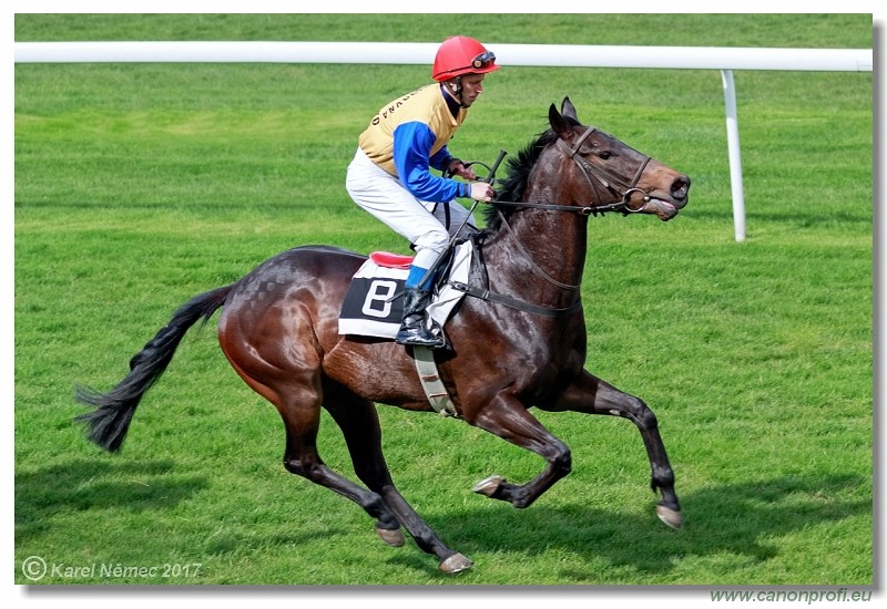 Bratislava - 23. apr�la 2017 