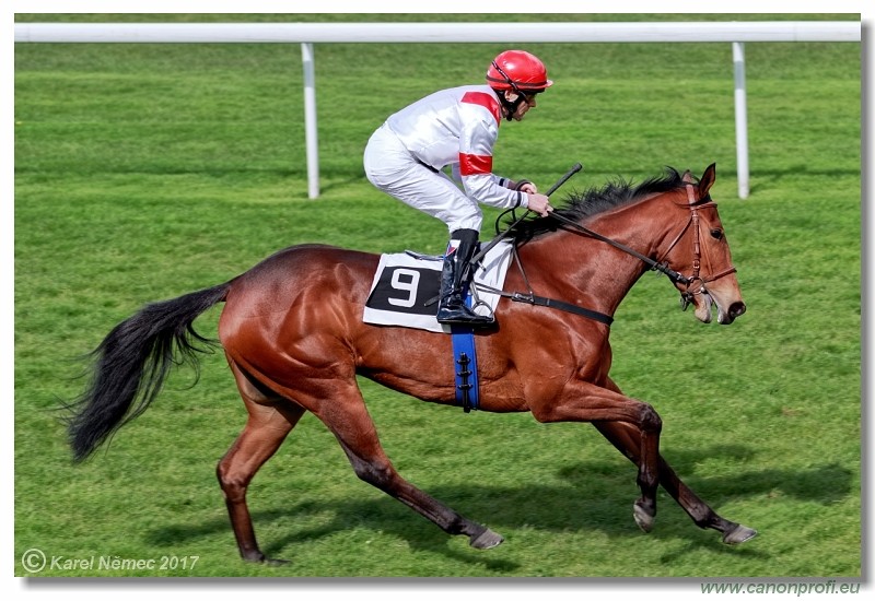 Bratislava - 23. apr�la 2017 