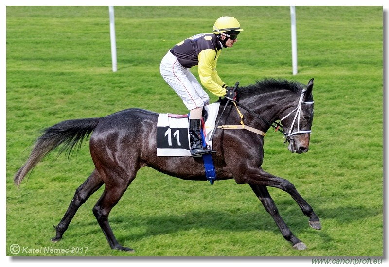 Bratislava - 23. apr�la 2017 