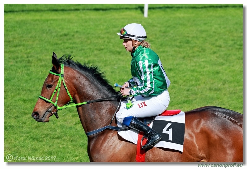 Bratislava - 23. apr�la 2017 