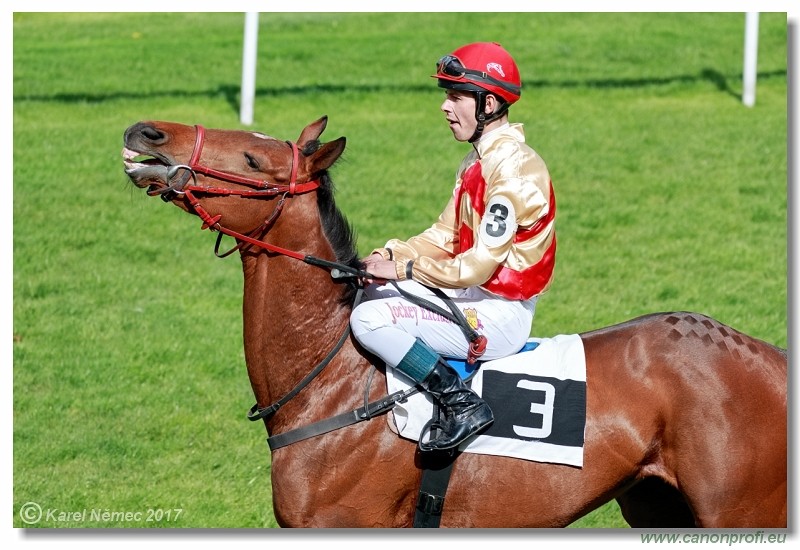 Bratislava - 23. apr�la 2017 