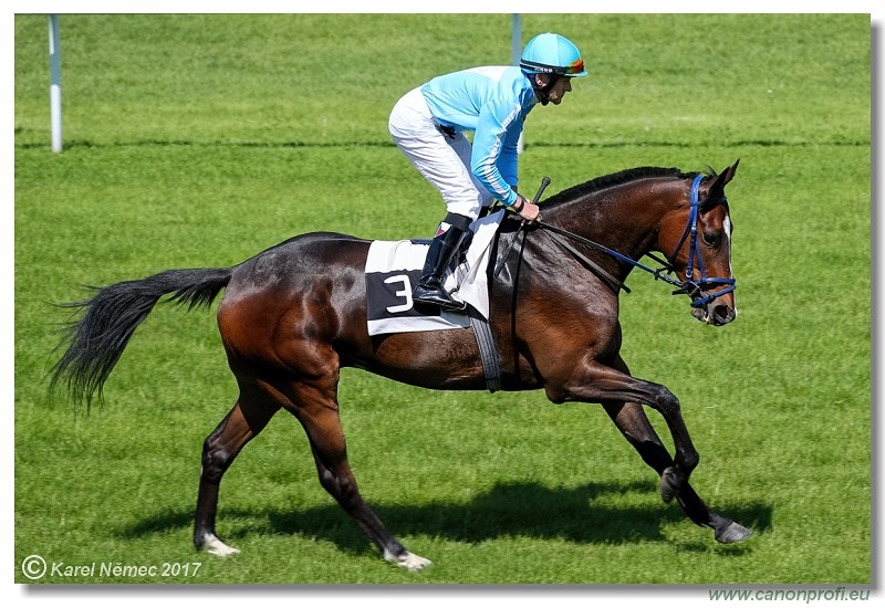 Bratislava - 14. m�ja 2017 