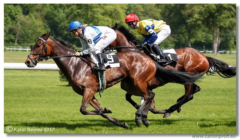 Bratislava - 14. m�ja 2017 