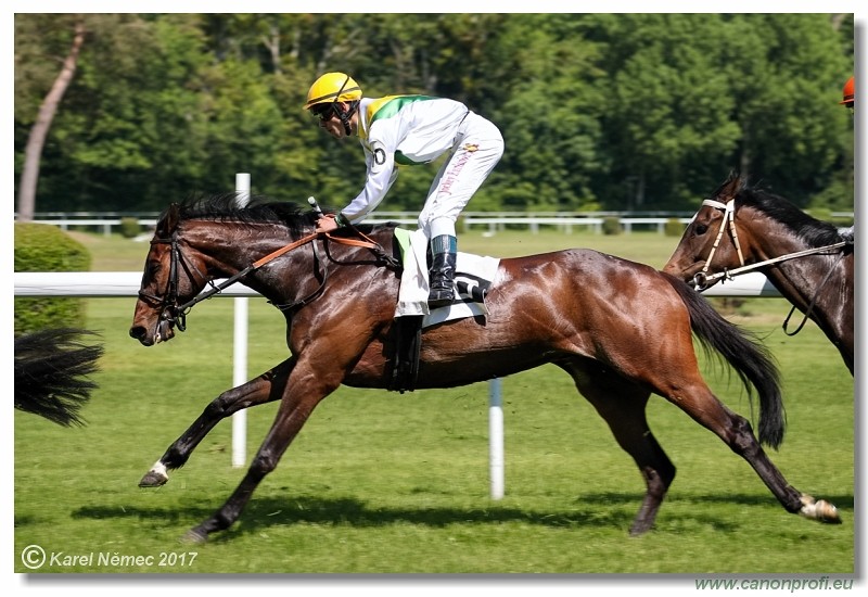 Bratislava - 14. m�ja 2017 