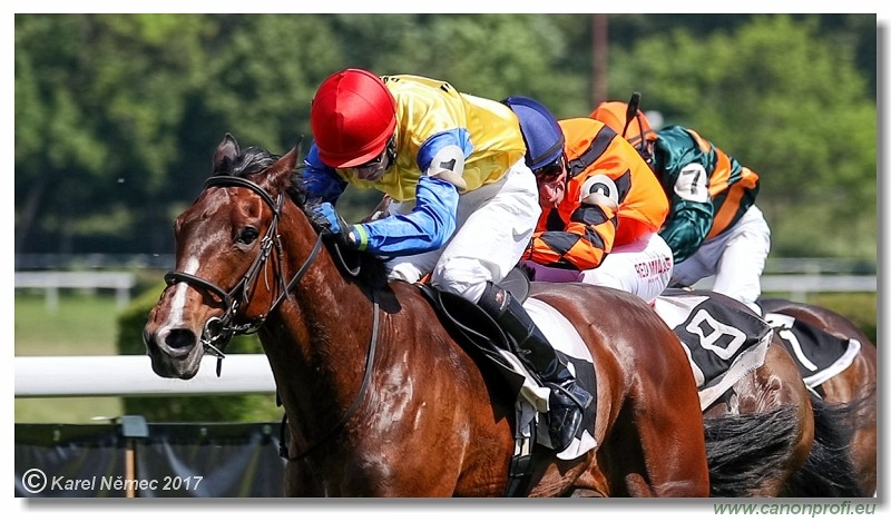 Bratislava - 14. m�ja 2017 