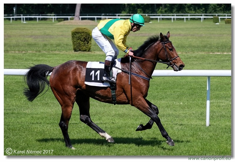 Bratislava - 14. m�ja 2017 