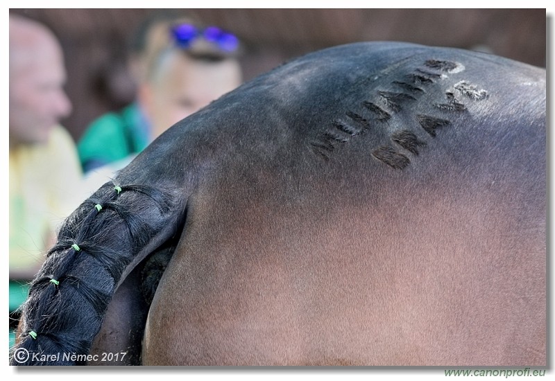 Bratislava - 14. m�ja 2017 