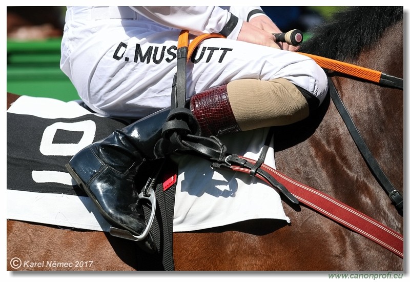 Bratislava - 14. m�ja 2017 