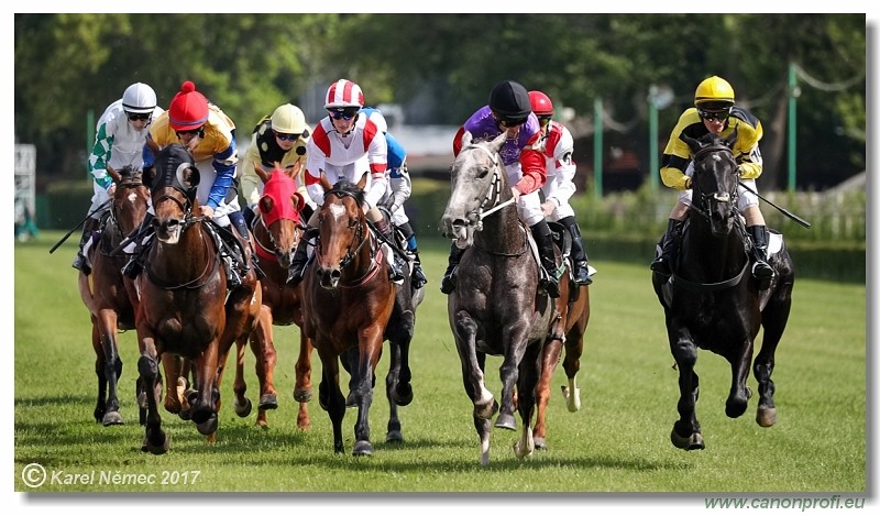 Bratislava - 14. m�ja 2017 