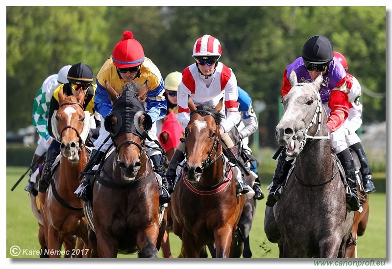 Bratislava - 14. m�ja 2017 